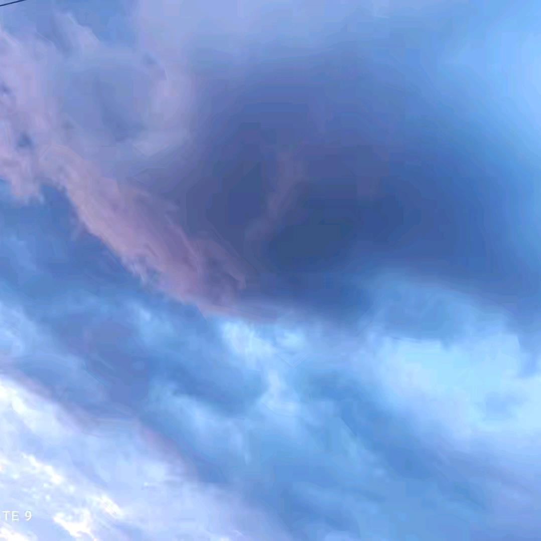 新哥