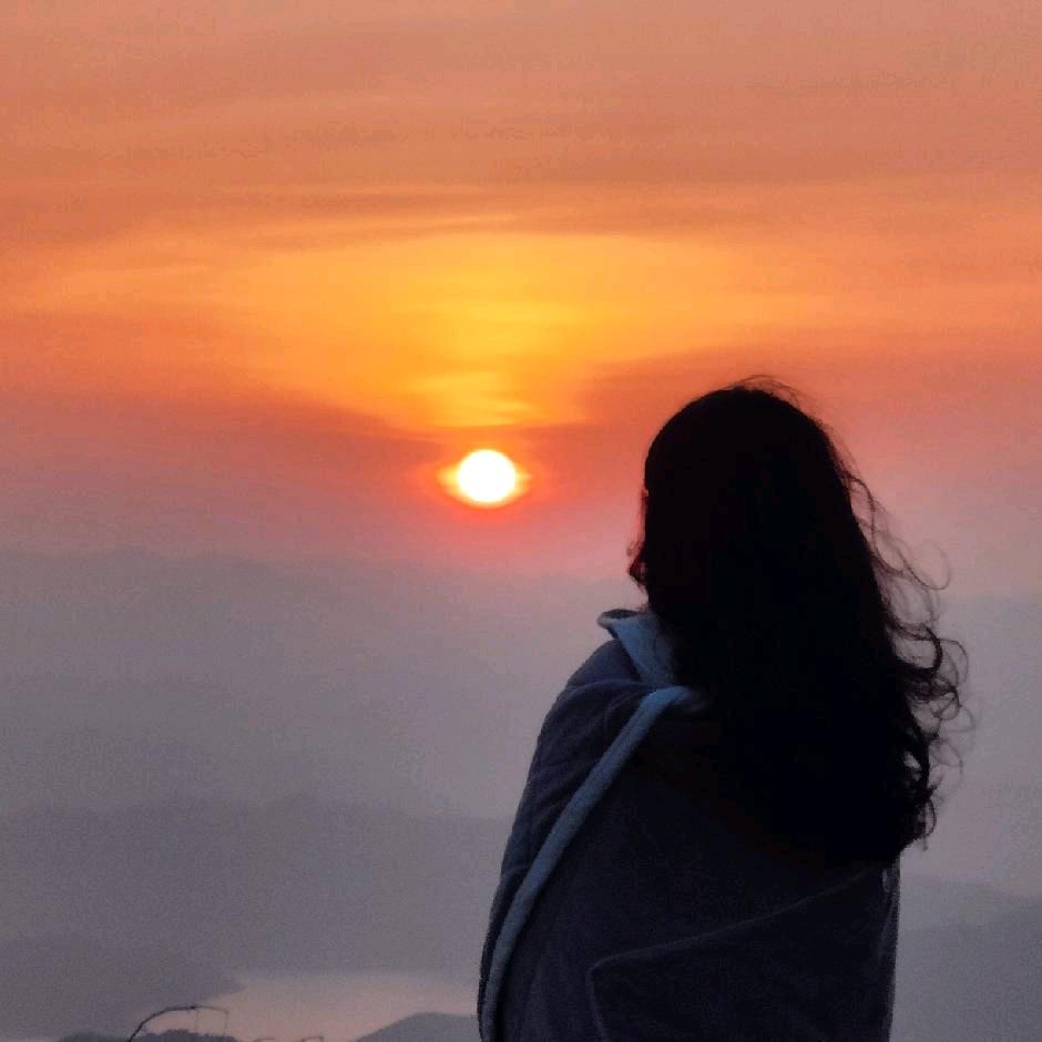 花也-深圳平价花店