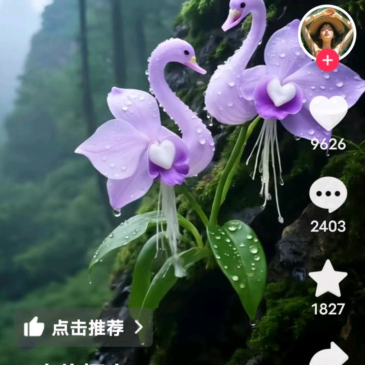霞