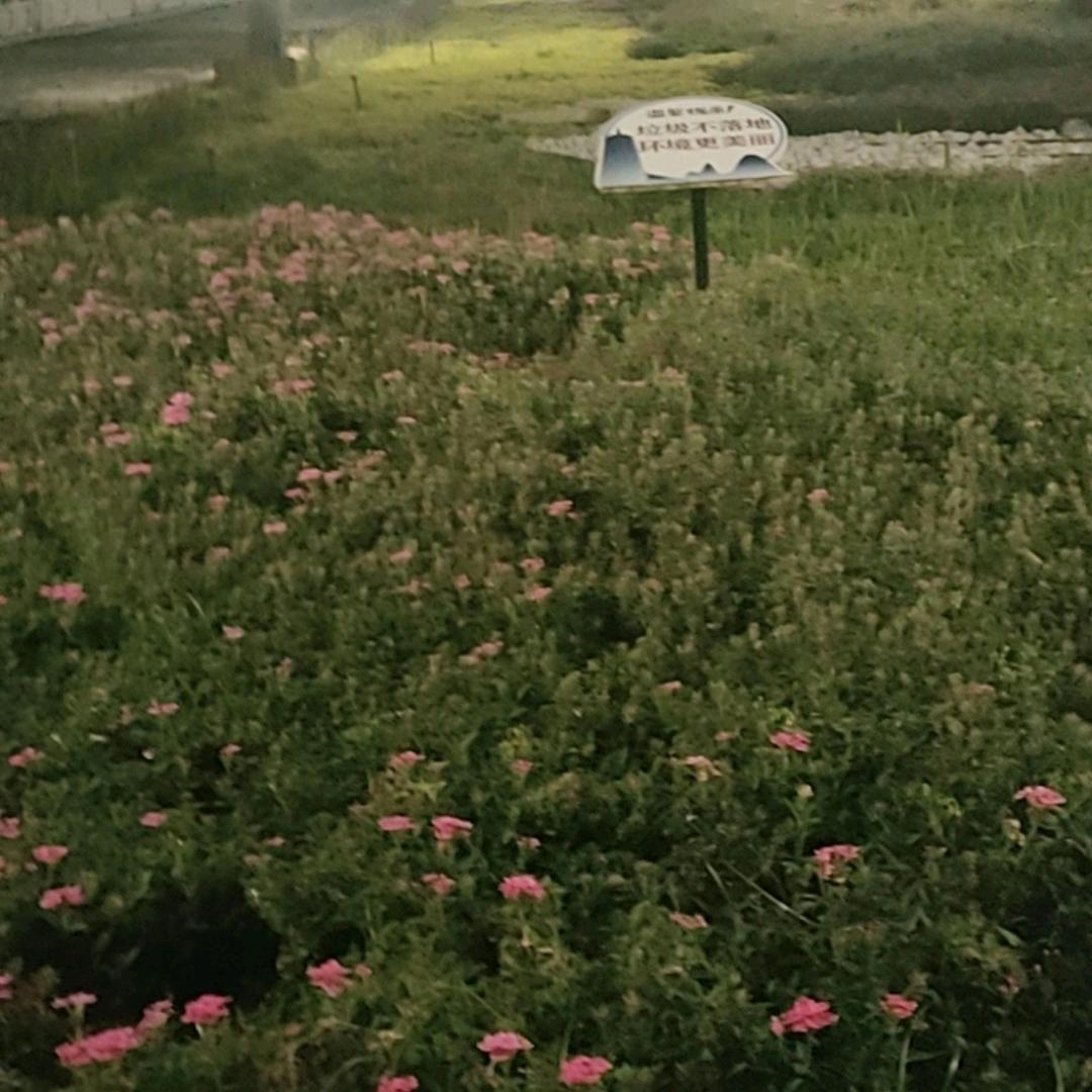 伤心的我拒绝私聊
