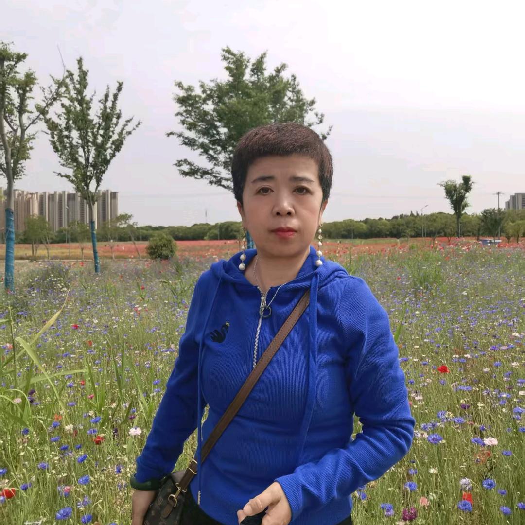安妮1号