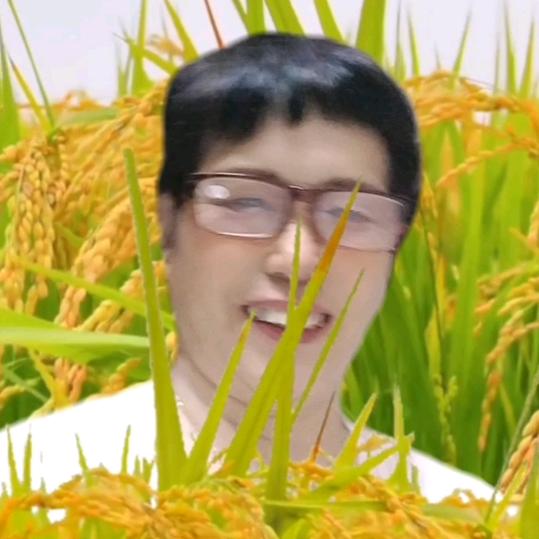 🌾邢姐🌾麦家班