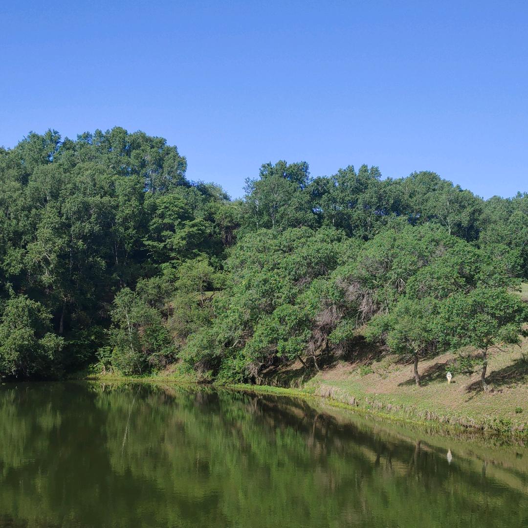 ᥫᦸᐝ清ღ风ζདྷ༗