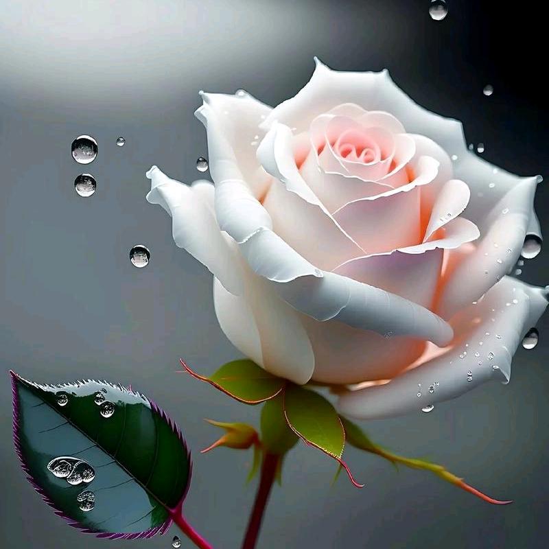 时光从指尖划过。。。。