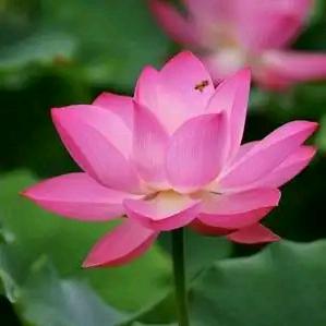 爱自己（小号）