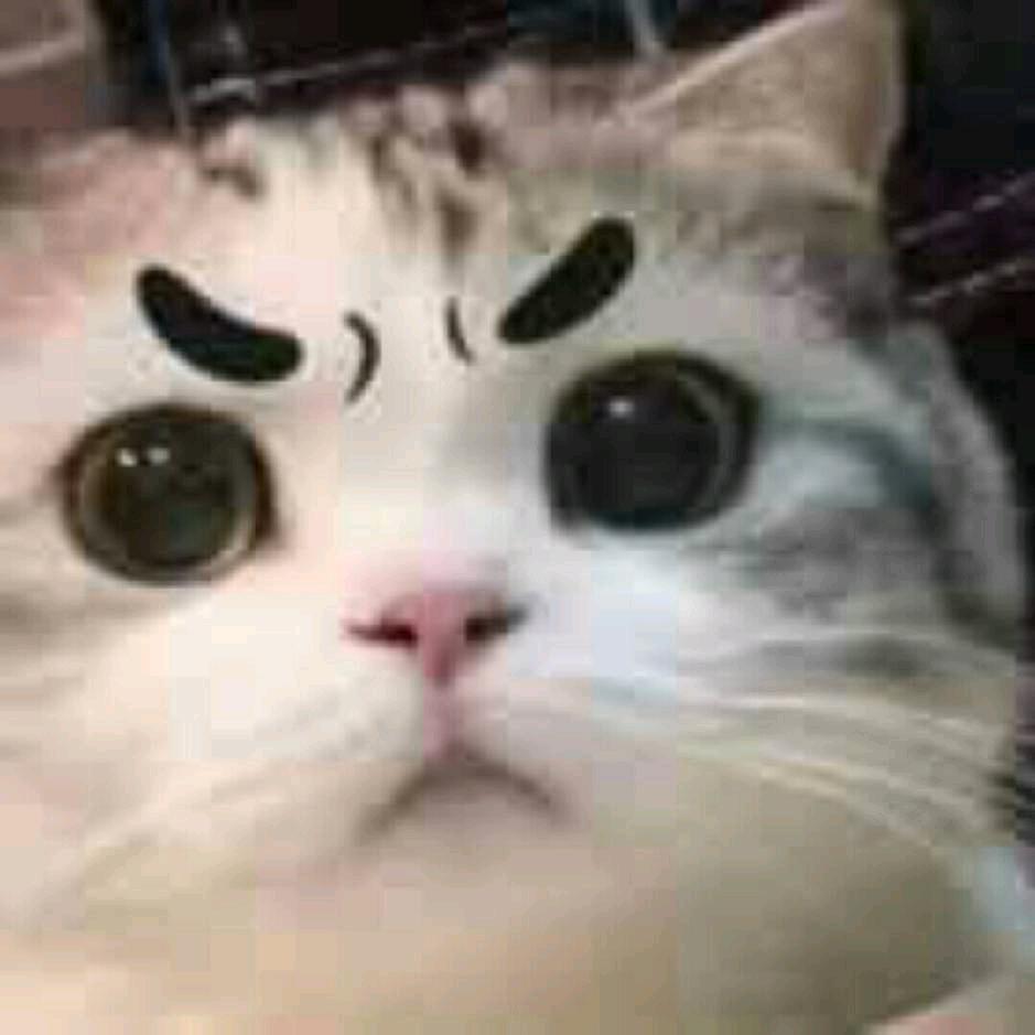 晚安(•̀⌄•́)