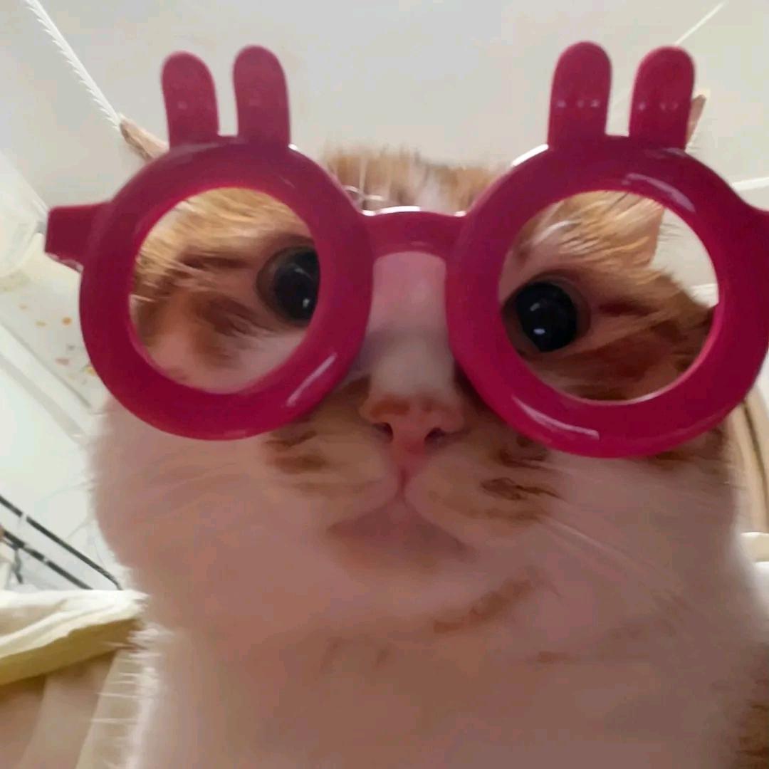 hlloli