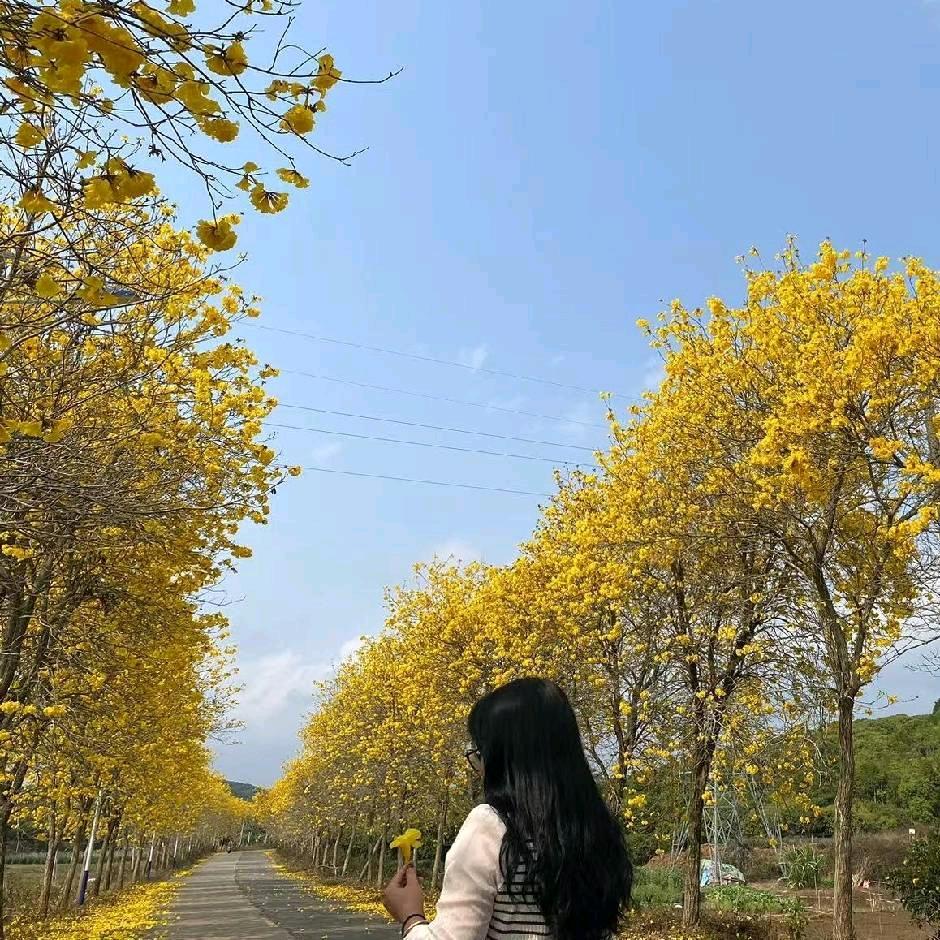 幻彩泡泡糖