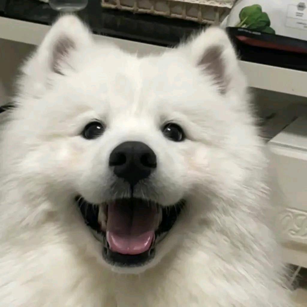 WXY