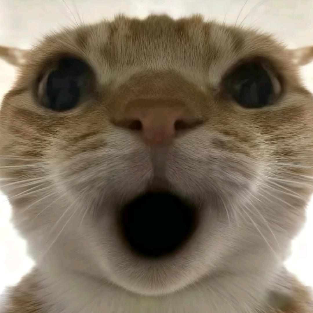 AAA–AAA大王（全国可A）