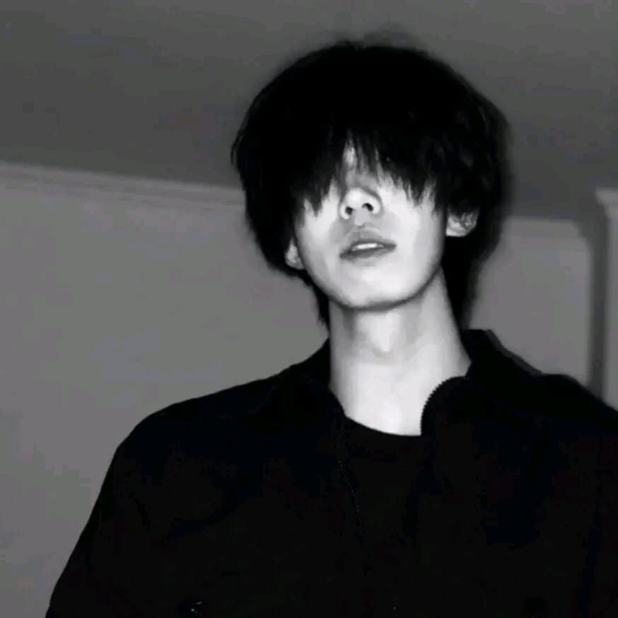 子木杉