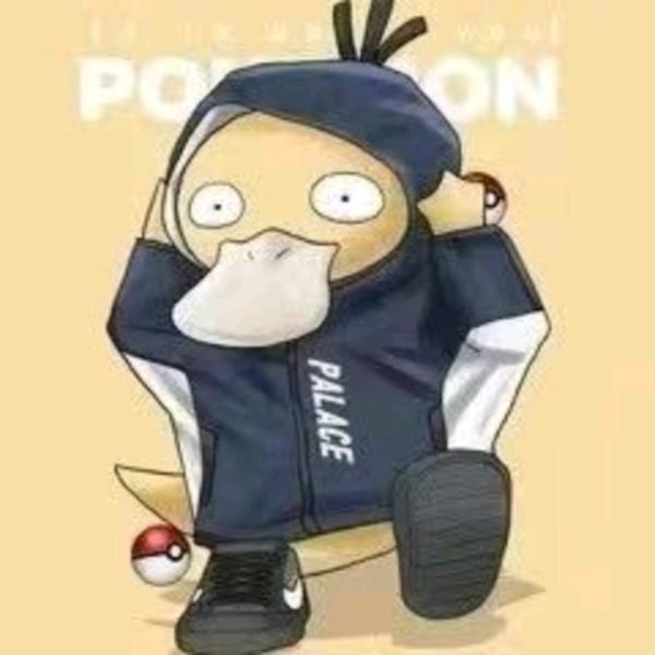 顺风车司机助手