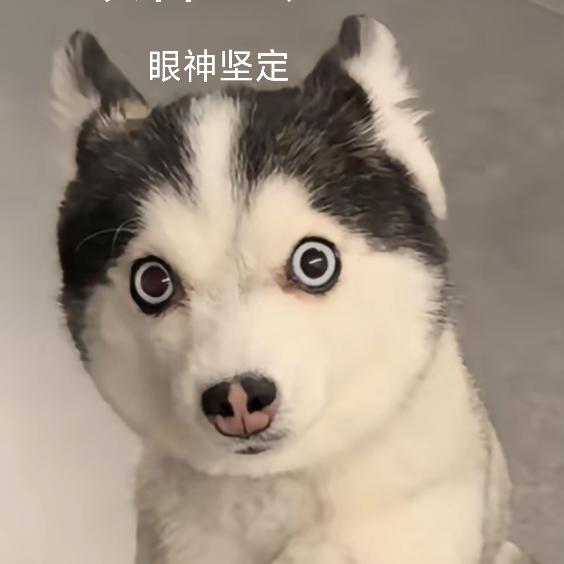『小东邪』