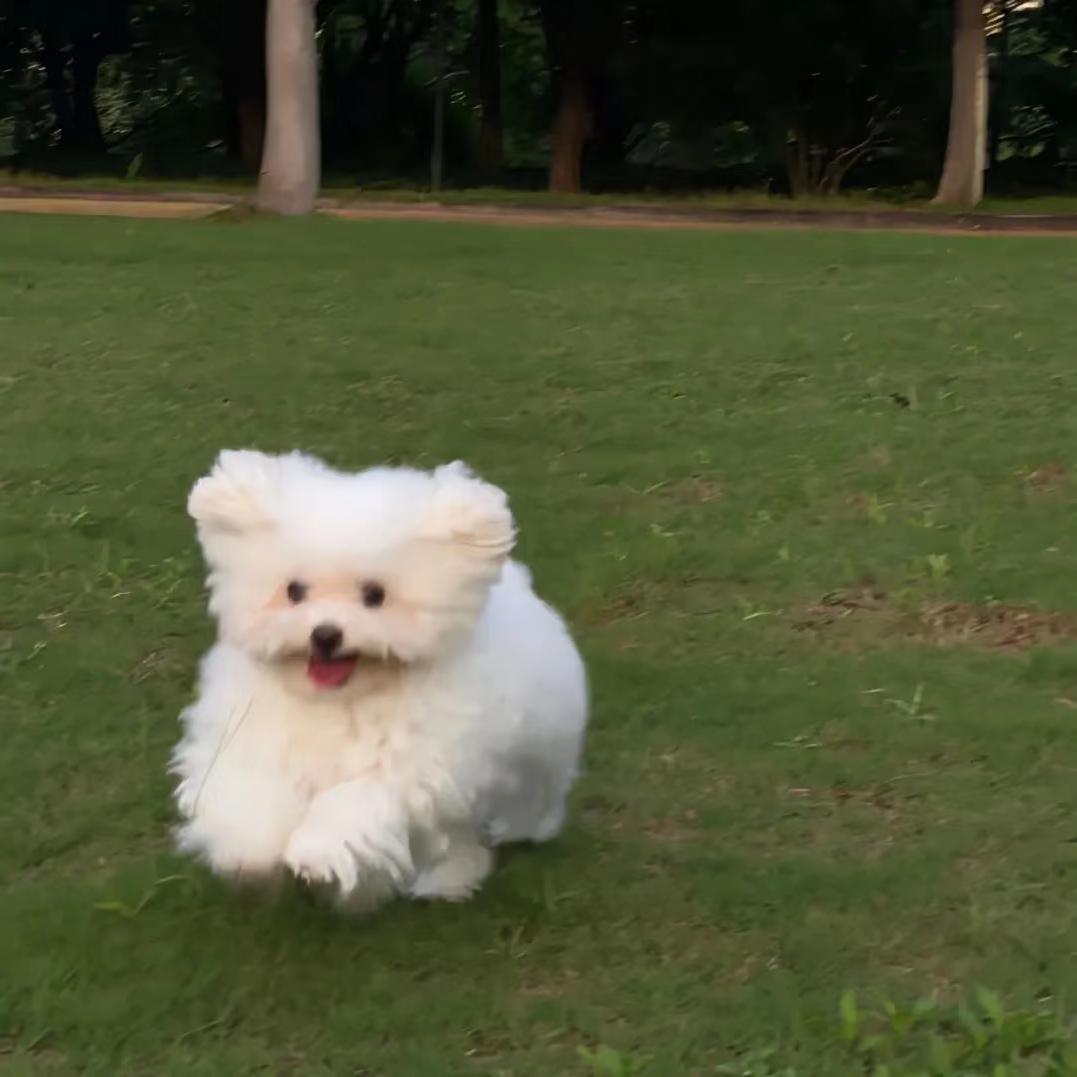 好运全开版