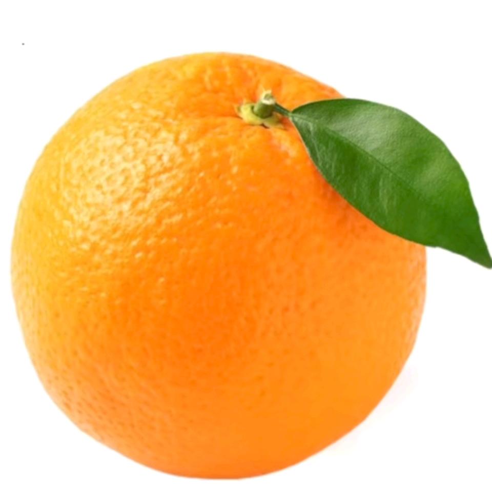 广东甜橙