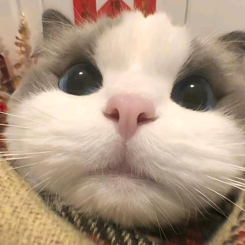 买买吖