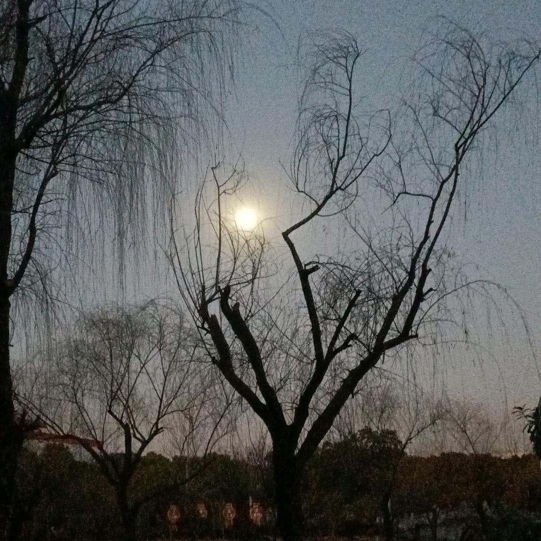 检修工  杨哥