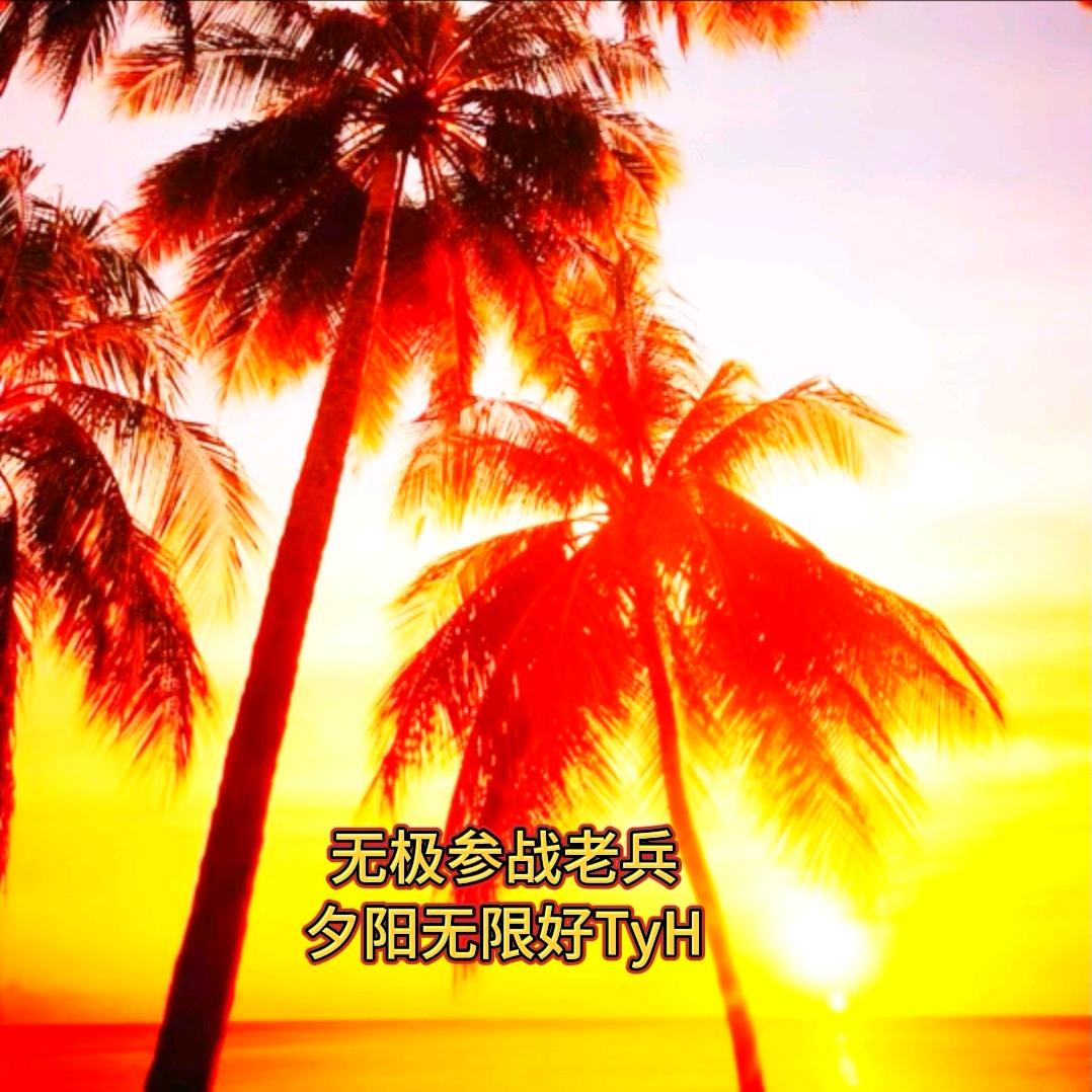 夕阳无限好TyH