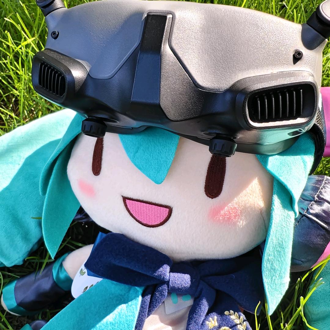 YGFPV