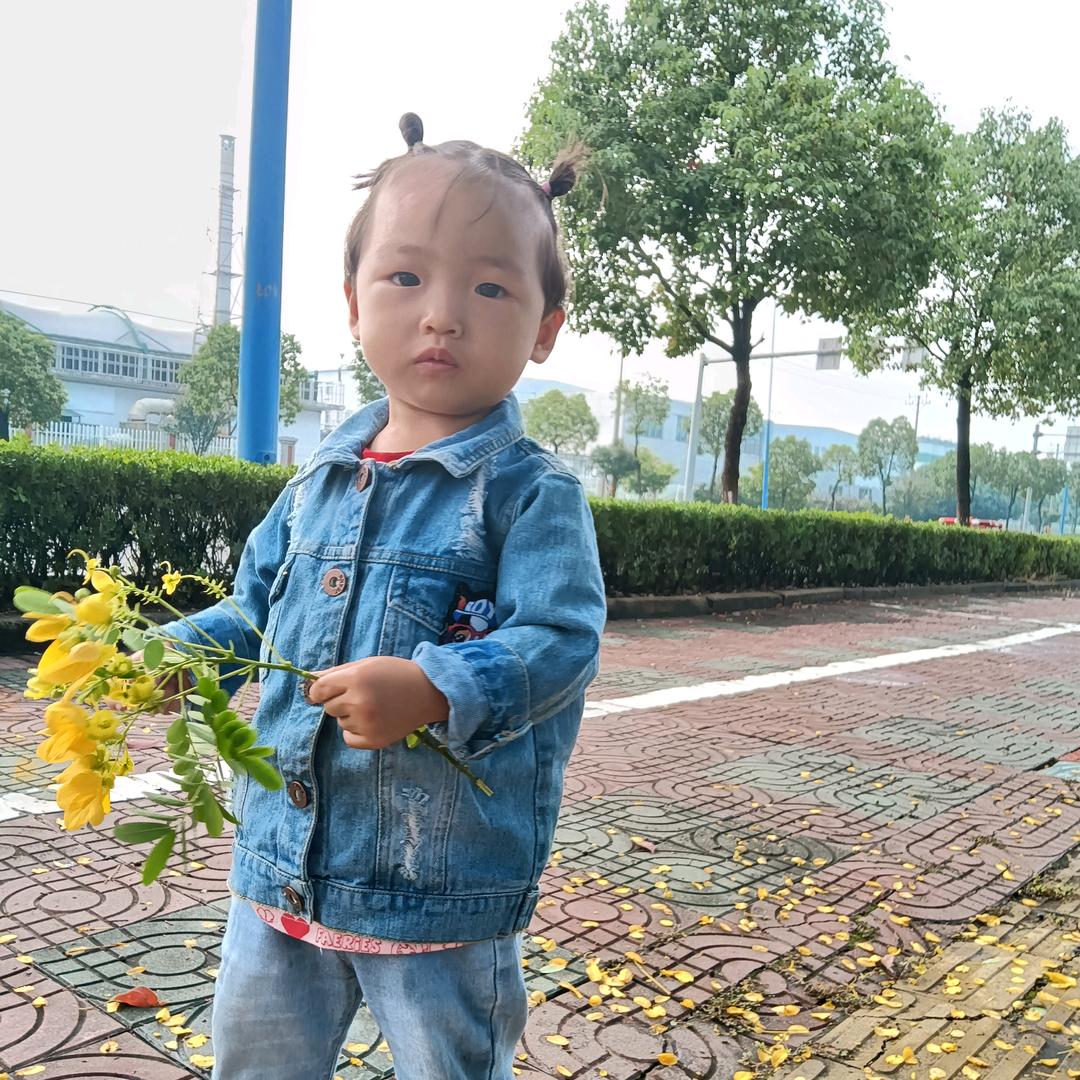 只想爱你每一天