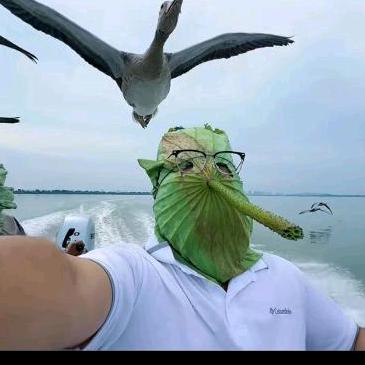 追求简单自由的生活