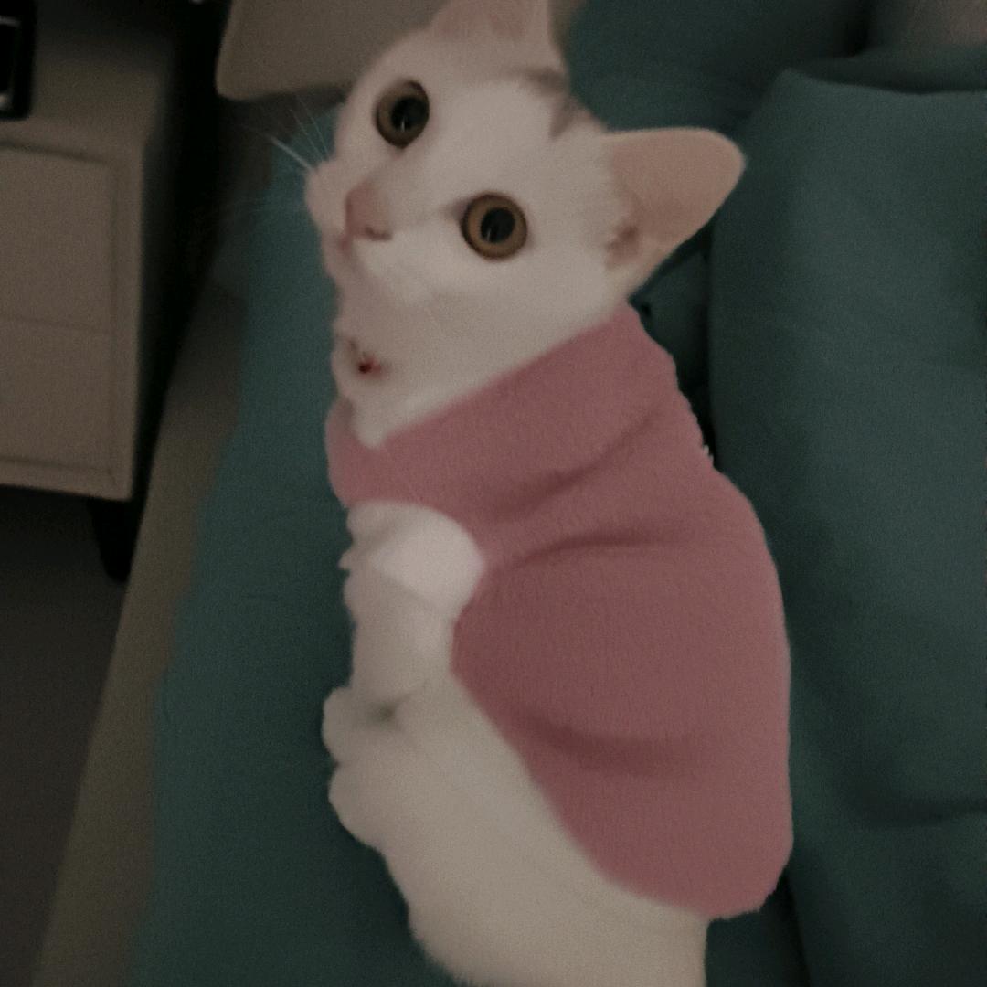 ࿐ཉི༗࿆ ༗࿆ཉི࿐