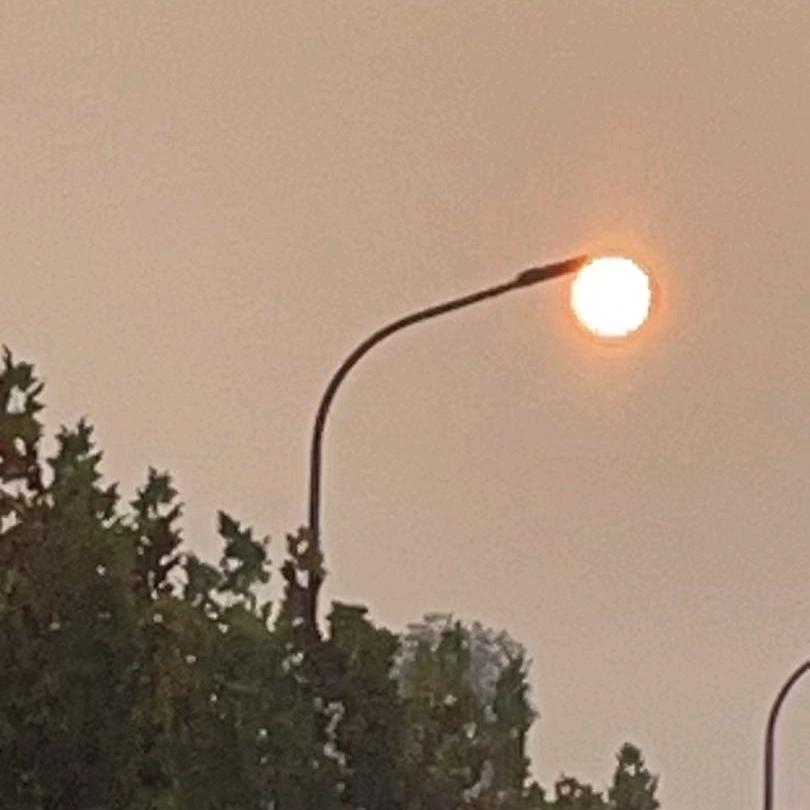 每一天都值得热爱