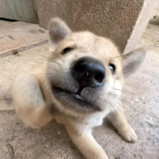偷闲