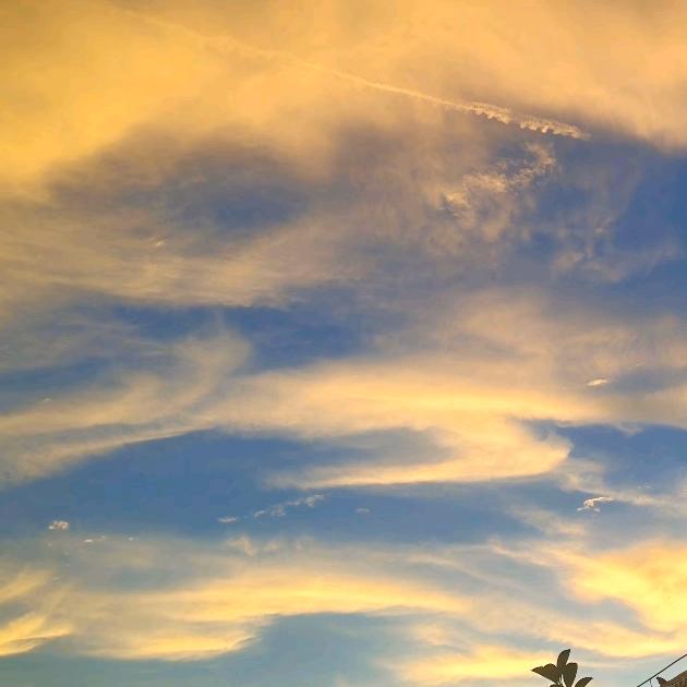 每天都要小开心