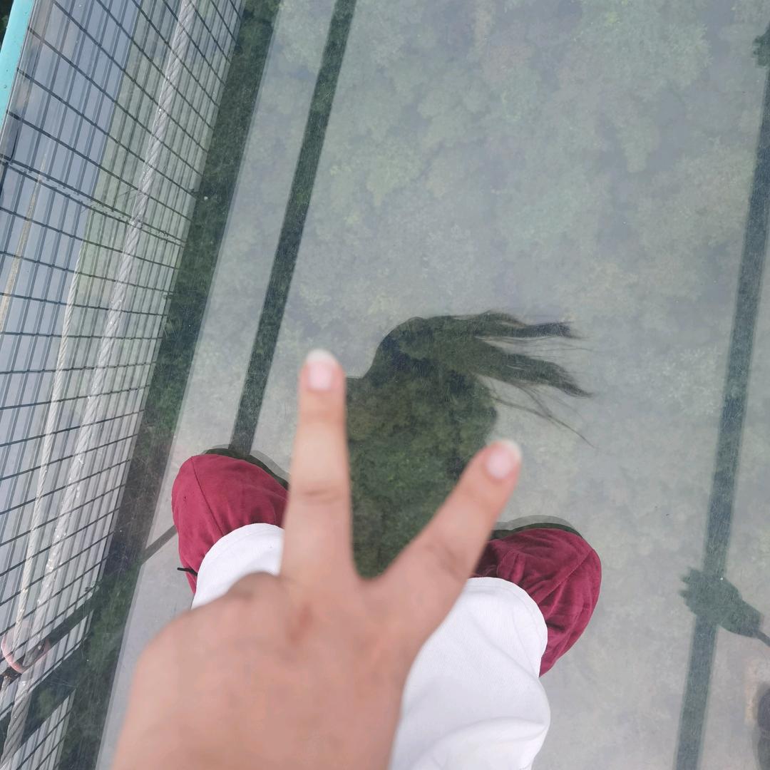 早安🦆