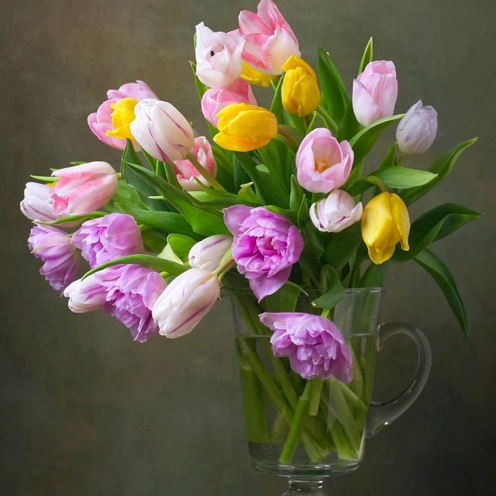 💐薄荷糖🍬