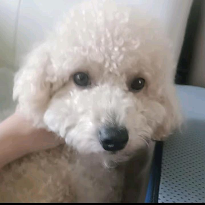 可可不是渴小号