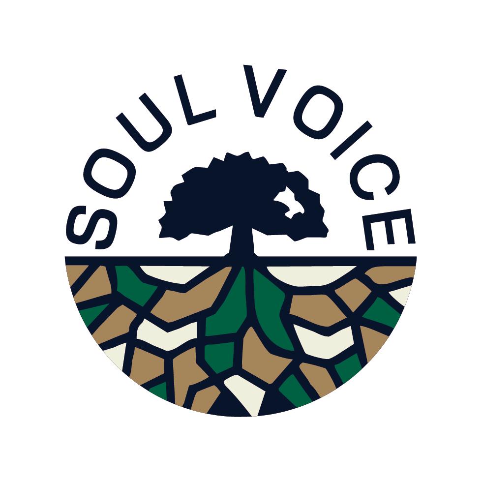 SOUL VOICE