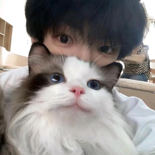 小寒陛下