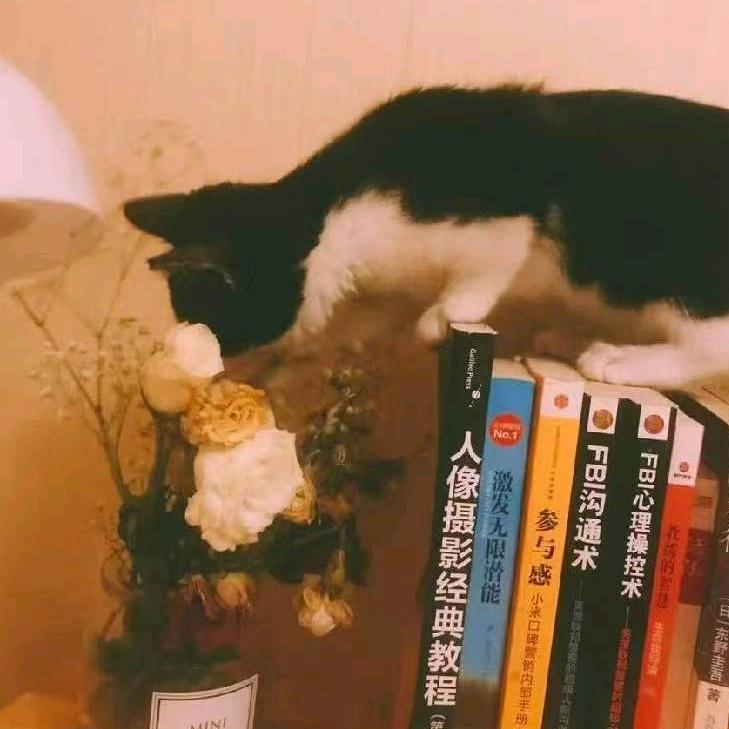 我栖春山📖