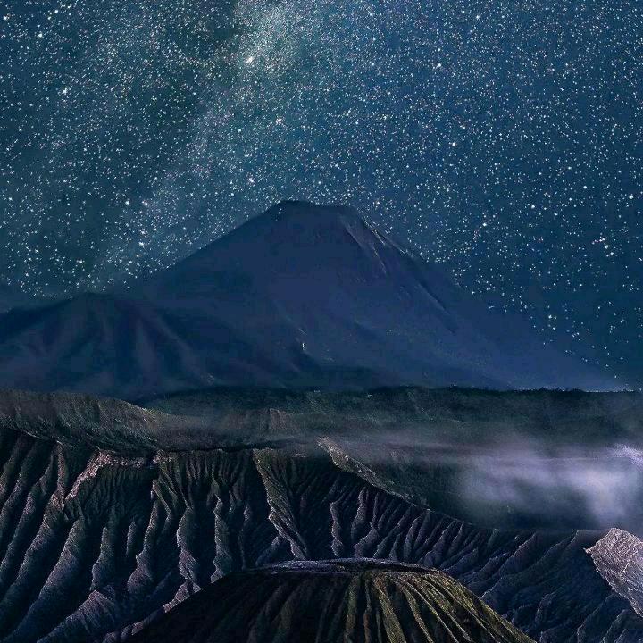 刘总