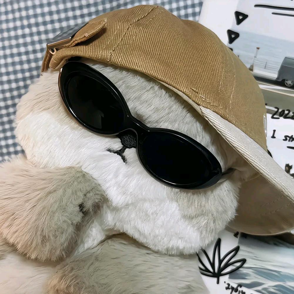 💰💰来财来财✨