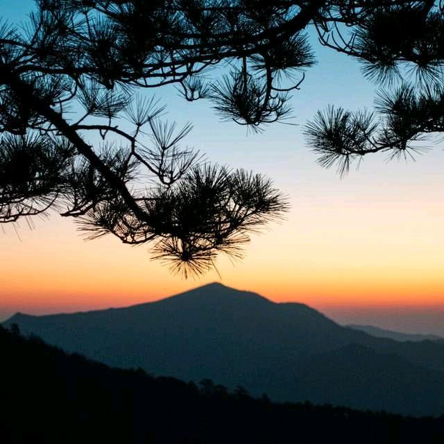 天🌄目