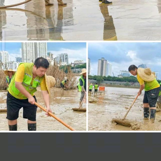 🐕🐕湛江鹏哥🐕🐕