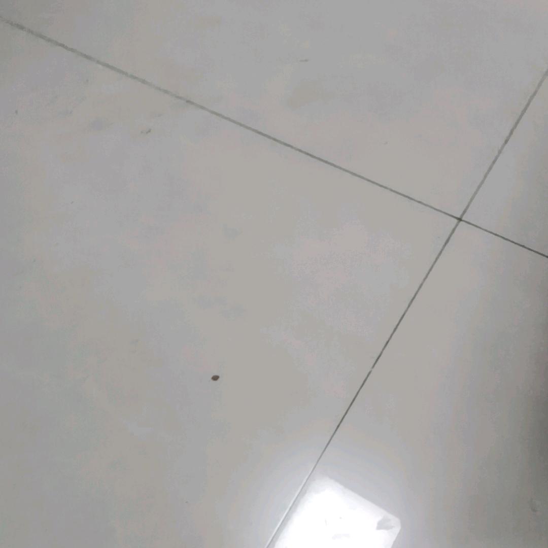 流浪的陌生人