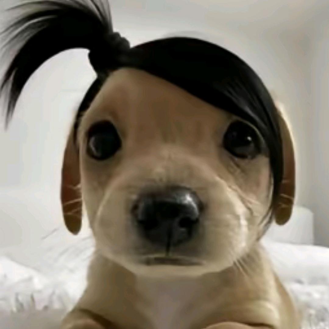 小陈啊🧶