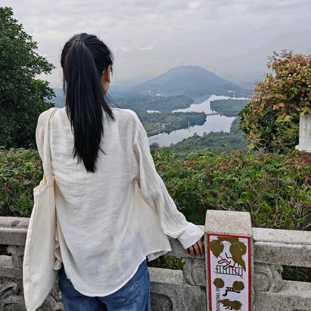 平樊