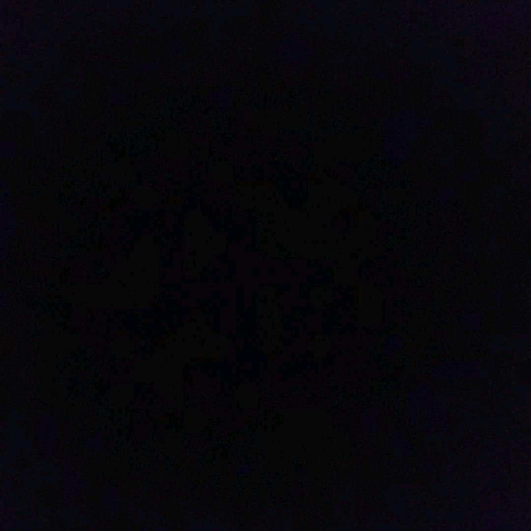 无。