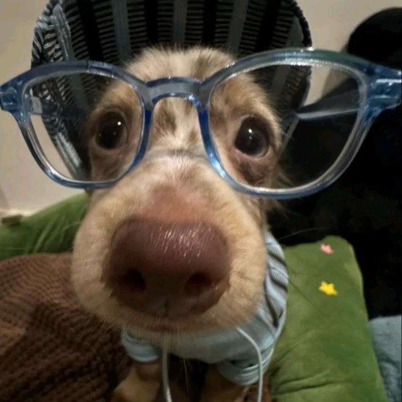 画画的baby~