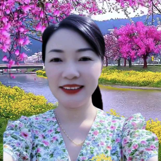 素雅百合：友访必回，赞不过三💖
