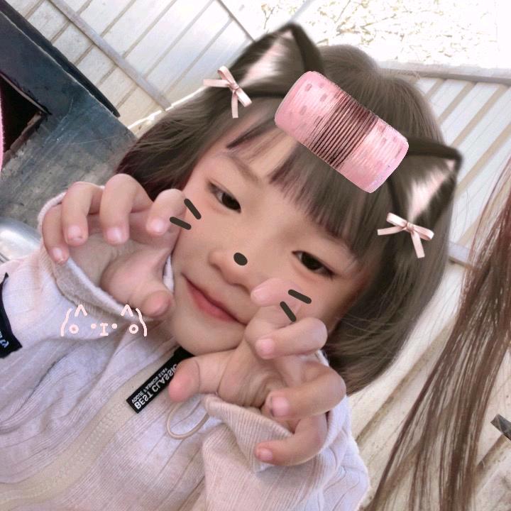 小张琴