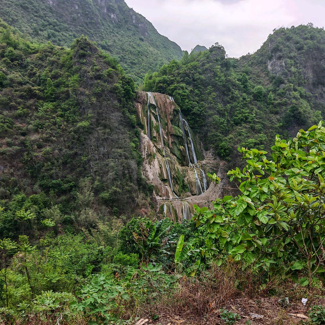 小二果果优选