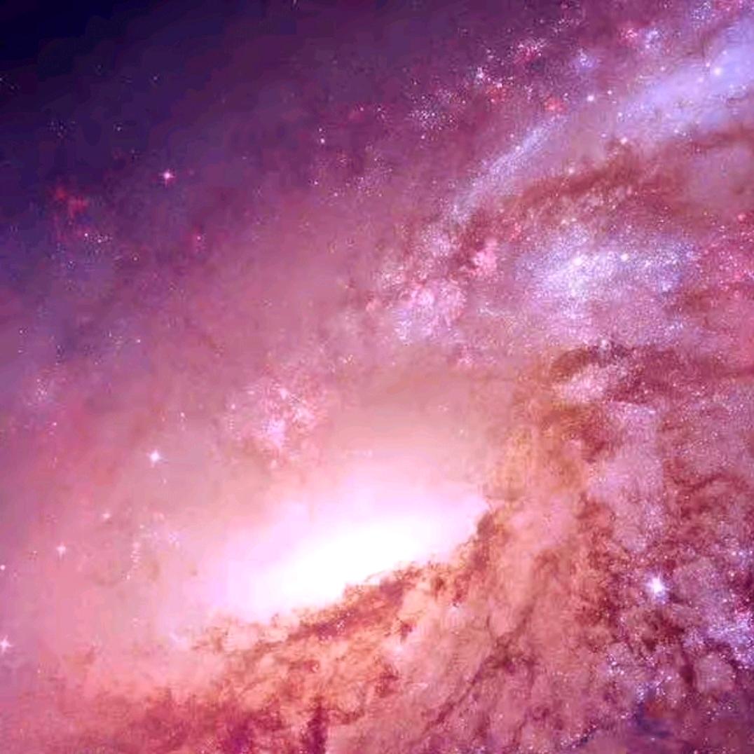 狗尾草（六六）