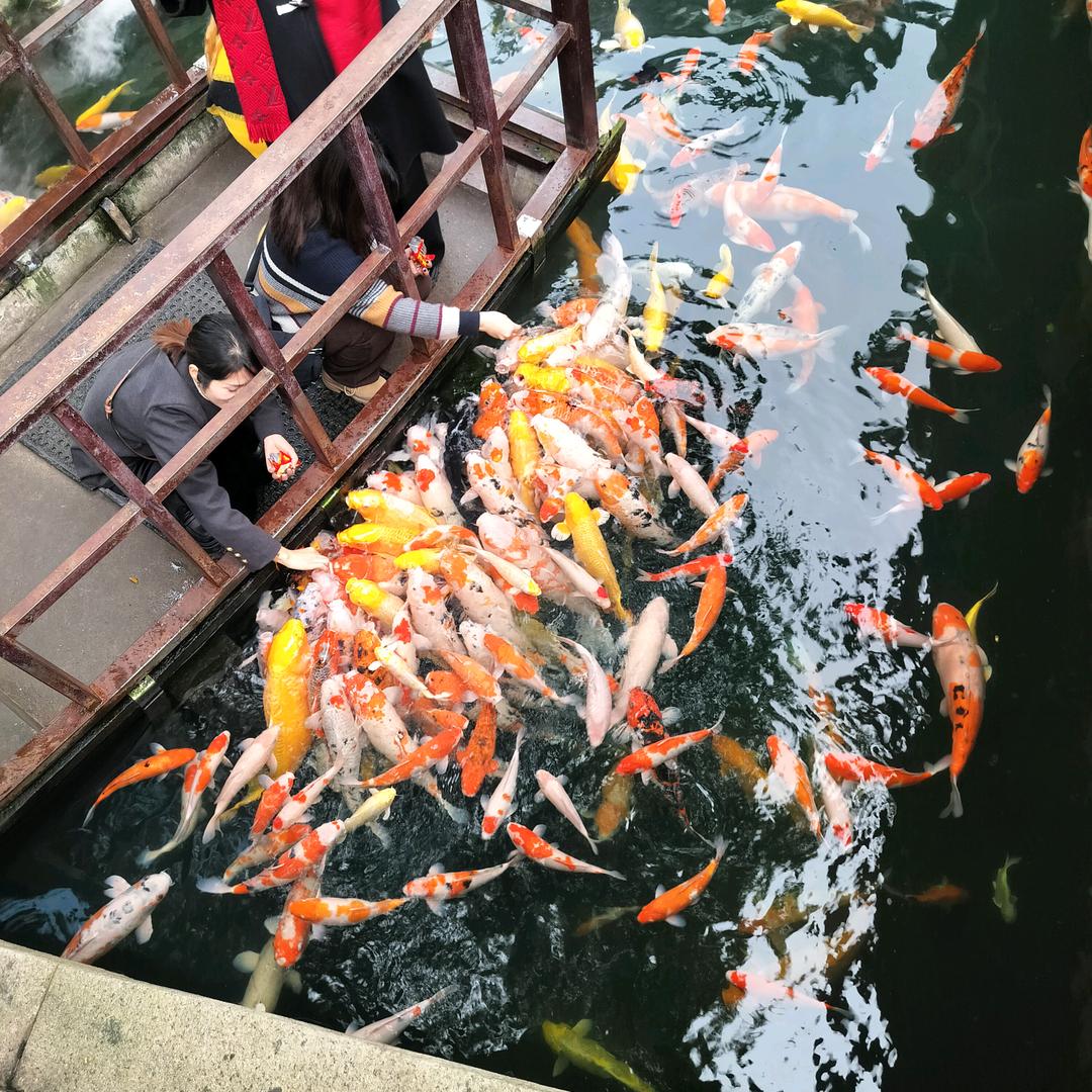 美好生活