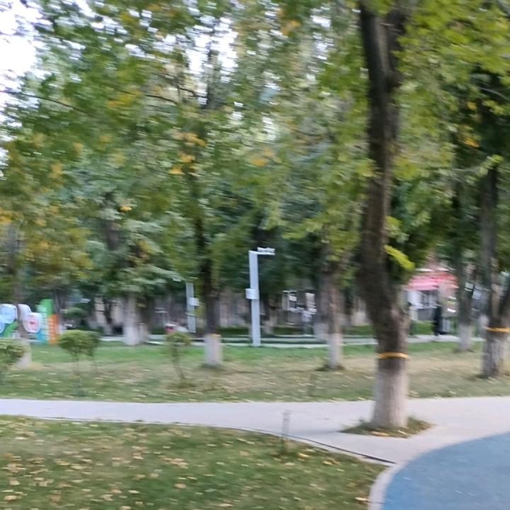 孤独的狼